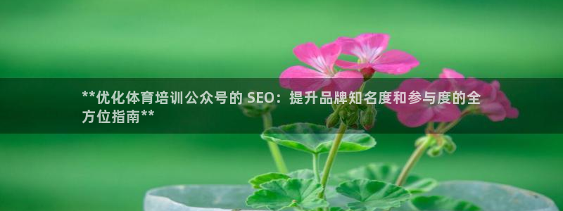 尊龙人生就是博下载：**优化体育培训公众号的 SEO