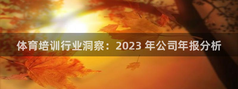 尊龙人生就是博现金：体育培训行业洞察：2023 年公