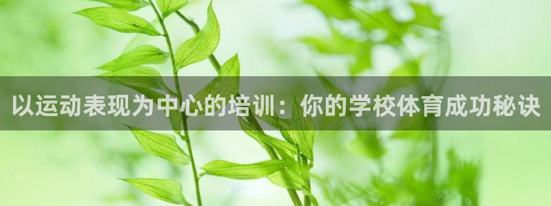 尊龙凯时人生就是搏官：以运动表现为中心的培训：你的学